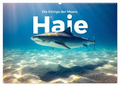 Haie - Könige der Meere. (Wandkalender 2024 DIN A2 quer), CALVENDO Monatskalender