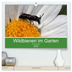 Wildbienen im Garten (hochwertiger Premium Wandkalender 2024 DIN A2 quer), Kunstdruck in Hochglanz