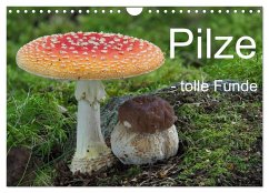 Pilze - tolle Funde (Wandkalender 2024 DIN A4 quer), CALVENDO Monatskalender