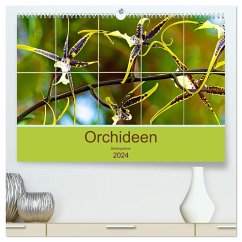 Orchideen Bildergalerie (hochwertiger Premium Wandkalender 2024 DIN A2 quer), Kunstdruck in Hochglanz