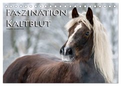Faszination Kaltblut (Tischkalender 2024 DIN A5 quer), CALVENDO Monatskalender