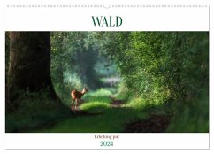WALD Erholung pur (Wandkalender 2024 DIN A2 quer), CALVENDO Monatskalender - Michel, Susan