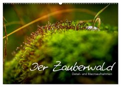 Der Zauberwald - Detailaufnahmen (Wandkalender 2024 DIN A2 quer), CALVENDO Monatskalender