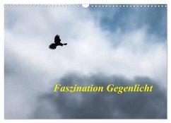 Faszination Gegenlicht (Wandkalender 2024 DIN A3 quer), CALVENDO Monatskalender - Martin (GDT), Wilfried