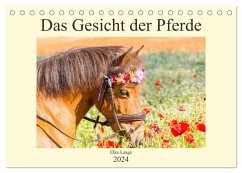 Das Gesicht der Pferde (Tischkalender 2024 DIN A5 quer), CALVENDO Monatskalender
