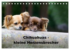 Chihuahuas - kleine Herzensbrecher (Tischkalender 2024 DIN A5 quer), CALVENDO Monatskalender
