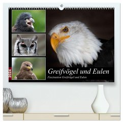 Greifvögel und Eulen (hochwertiger Premium Wandkalender 2024 DIN A2 quer), Kunstdruck in Hochglanz