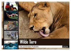 Wilde Tiere - Die schönsten Portraits (Wandkalender 2024 DIN A3 quer), CALVENDO Monatskalender