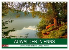 Auwälder bei Enns (Wandkalender 2024 DIN A3 quer), CALVENDO Monatskalender