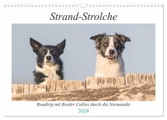 Strand-Strolche (Wandkalender 2024 DIN A3 quer), CALVENDO Monatskalender - Homolka, Barbara
