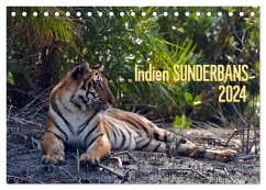 Indien Sunderbans (Tischkalender 2024 DIN A5 quer), CALVENDO Monatskalender - Bergermann, Manfred