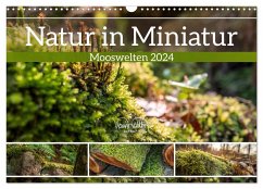 Natur in Miniatur - Mooswelten (Wandkalender 2024 DIN A3 quer), CALVENDO Monatskalender
