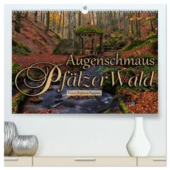Augenschmaus Pfälzer Wald (hochwertiger Premium Wandkalender 2024 DIN A2 quer), Kunstdruck in Hochglanz