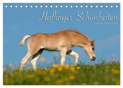 Haflinger Schönheiten (Tischkalender 2024 DIN A5 quer), CALVENDO Monatskalender