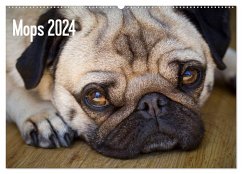 Mops 2024 (Wandkalender 2024 DIN A2 quer), CALVENDO Monatskalender
