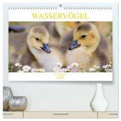 Wasservögel - Kanadagänse (hochwertiger Premium Wandkalender 2024 DIN A2 quer), Kunstdruck in Hochglanz