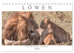Löwen - Raubkatzen Afrikas (Tischkalender 2024 DIN A5 quer), CALVENDO Monatskalender
