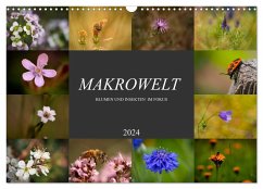 Makrowelt - Blumen und Insekten im Fokus (Wandkalender 2024 DIN A3 quer), CALVENDO Monatskalender