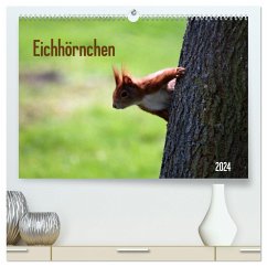 Eichhörnchen (hochwertiger Premium Wandkalender 2024 DIN A2 quer), Kunstdruck in Hochglanz