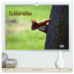 Eichhörnchen (hochwertiger Premium Wandkalender 2024 DIN A2 quer), Kunstdruck in Hochglanz - Schnellewelten