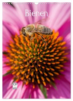 Bienenkalender (Wandkalender 2024 DIN A3 hoch), CALVENDO Monatskalender