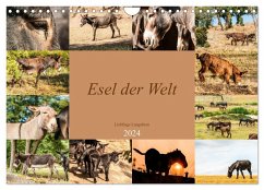 Esel der Welt - Lieblings Langohren (Wandkalender 2024 DIN A4 quer), CALVENDO Monatskalender