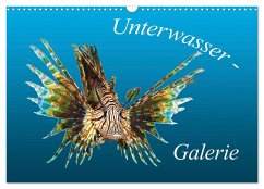Unterwasser-Galerie (Wandkalender 2024 DIN A3 quer), CALVENDO Monatskalender