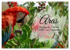 Aras - die fliegenden Edelsteine Mittel- und Südamerikas (Wandkalender 2024 DIN A3 quer), CALVENDO Monatskalender - Kleemann, Claudia