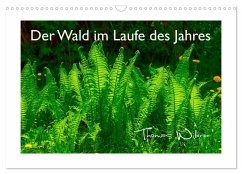Der Wald im Laufe des Jahres (Wandkalender 2024 DIN A3 quer), CALVENDO Monatskalender
