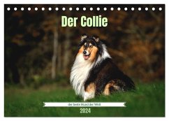 Der Collie der beste Hund der Welt (Tischkalender 2024 DIN A5 quer), CALVENDO Monatskalender