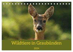 Wildtiere in Graubünden (Tischkalender 2024 DIN A5 quer), CALVENDO Monatskalender - Plattner, Jürg