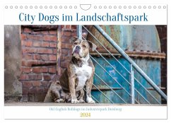 City Dogs im Landschaftspark (Wandkalender 2024 DIN A4 quer), CALVENDO Monatskalender - Verena Scholze, Fotodesign