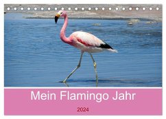Mein Flamingo Jahr (Tischkalender 2024 DIN A5 quer), CALVENDO Monatskalender