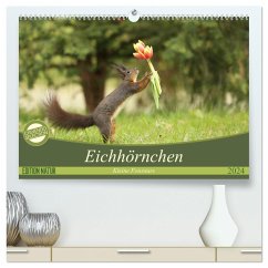 Eichhörnchen - Kleine Fotostars (hochwertiger Premium Wandkalender 2024 DIN A2 quer), Kunstdruck in Hochglanz - Cerny, Birgit