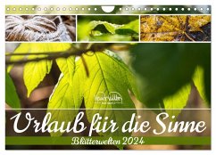 Urlaub für die Sinne - Blätterwelten (Wandkalender 2024 DIN A4 quer), CALVENDO Monatskalender