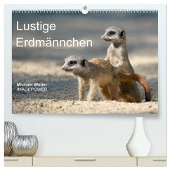 Lustige Erdmännchen (hochwertiger Premium Wandkalender 2024 DIN A2 quer), Kunstdruck in Hochglanz