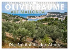 Olivenbäume auf Mallorca - Die Schönheit des Alters (Wandkalender 2024 DIN A4 quer), CALVENDO Monatskalender