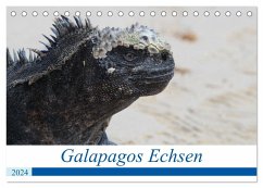 Galapagos Echsen (Tischkalender 2024 DIN A5 quer), CALVENDO Monatskalender - Reeh, Johannes