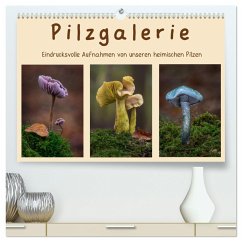 Pilzgalerie - Eindrucksvolle Aufnahmen von unseren heimischen Pilzen (hochwertiger Premium Wandkalender 2024 DIN A2 quer), Kunstdruck in Hochglanz