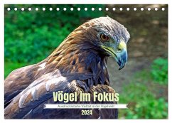 Vögel im Fokus - Ausdrucksstarke Vielfalt in der Vogelwelt (Tischkalender 2024 DIN A5 quer), CALVENDO Monatskalender