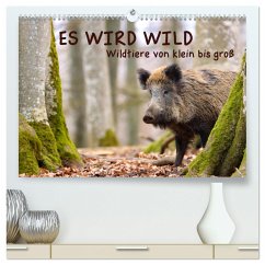 ES WIRD WILD Wildtiere von klein bis groß (hochwertiger Premium Wandkalender 2024 DIN A2 quer), Kunstdruck in Hochglanz - Merk, Angela