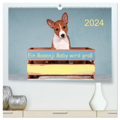 Ein Basenji Baby wird groß (hochwertiger Premium Wandkalender 2024 DIN A2 quer), Kunstdruck in Hochglanz