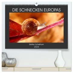 DIE SCHNECKEN EUROPAS (hochwertiger Premium Wandkalender 2024 DIN A2 quer), Kunstdruck in Hochglanz