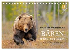 Magie des Augenblicks - Bären in nordischen Wäldern (Tischkalender 2024 DIN A5 quer), CALVENDO Monatskalender