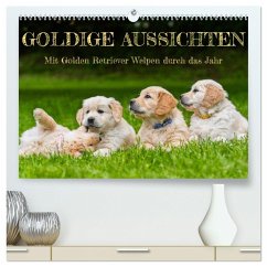 Goldige Aussichten - Mit Golden Retriever Welpen durch das Jahr (hochwertiger Premium Wandkalender 2024 DIN A2 quer), Kunstdruck in Hochglanz