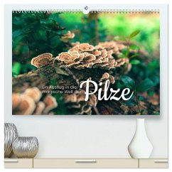 Ein Ausflug in die magische Welt der Pilze (hochwertiger Premium Wandkalender 2024 DIN A2 quer), Kunstdruck in Hochglanz - SF