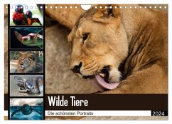 Wilde Tiere - Die schönsten Portraits (Wandkalender 2024 DIN A4 quer), CALVENDO Monatskalender