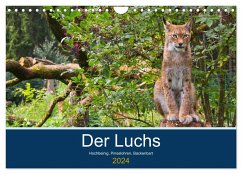 Der Luchs - Hochbeinig, Pinselohren, Backenbart (Wandkalender 2024 DIN A4 quer), CALVENDO Monatskalender