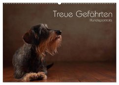 Treue Gefährten - Hundeportraits (Wandkalender 2024 DIN A2 quer), CALVENDO Monatskalender