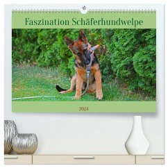 Faszination Schäferhundwelpe (hochwertiger Premium Wandkalender 2024 DIN A2 quer), Kunstdruck in Hochglanz